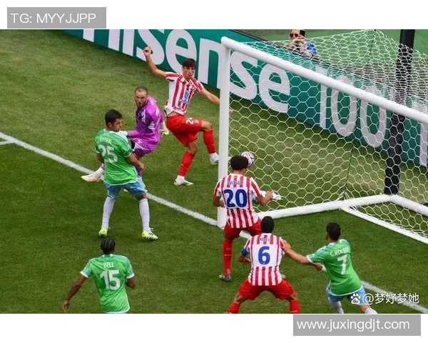 维特足球明星名单全面解析与历史成就回顾